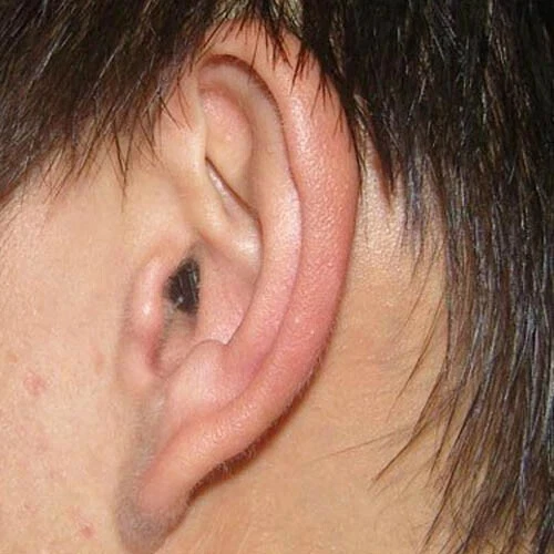 305 NEW Micro Invisible Wireless In-ear Spy Earphone + Neckloop For School Examination Cheat