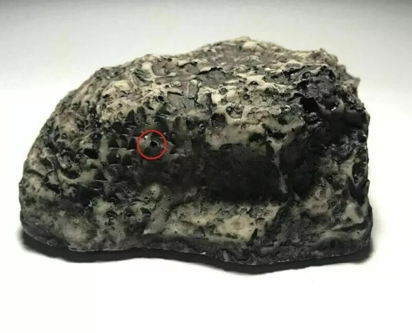 6 HD 1080P WiFi IP Mini Hidden Security Spy Camera Video Recorder Motion Alarm APP Viewing